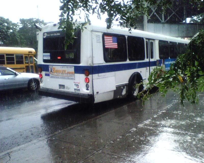 West Farms Area including Orion on the Bx9 and the Bx40. Caught them by ...